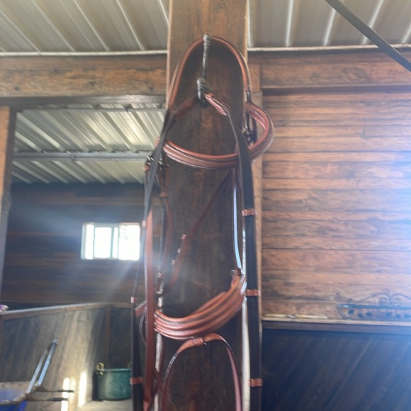 Horse Crank Noseband Flash Bridle - Picture 3 of 4